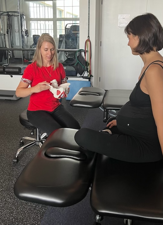 Pelvic Floor Physical Therapy Brooklyn Body Works Physical Therapy